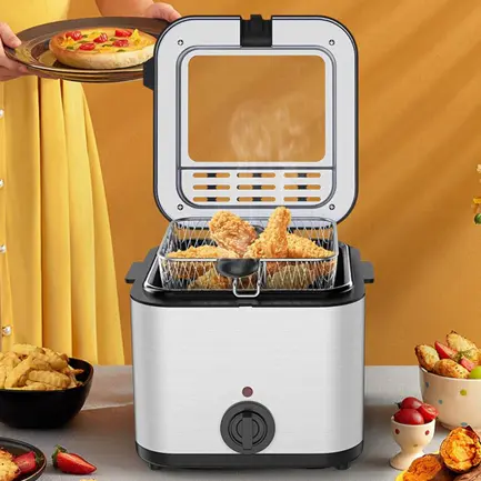 Electric Fryer